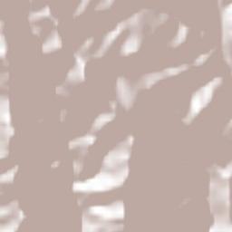 Tlacoapa Terrain Map