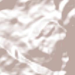 Los Naranjos Terrain Map