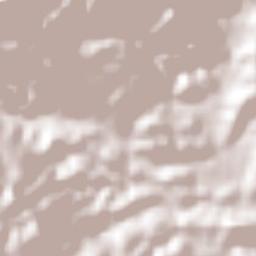 Nueva Esperanza Terrain Map