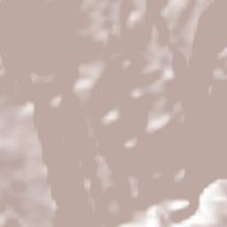 Hidalgo Joshil Terrain Map