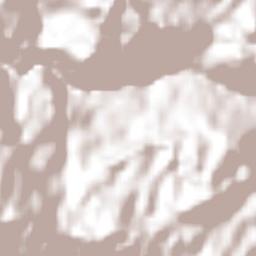 Amado Nervo Terrain Map