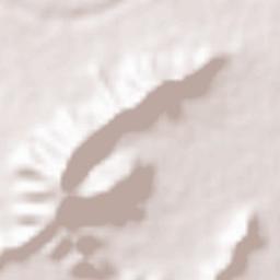 Malkapur Terrain Map