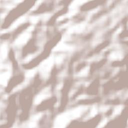 Tepetixtla Terrain Map