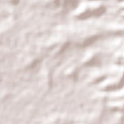 Villa de Etla Terrain Map