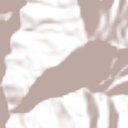 Villa Hidalgo Terrain Map