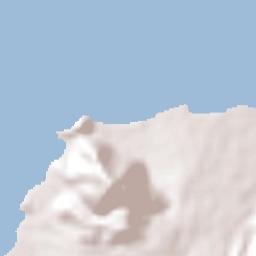 Newcastle Terrain Map