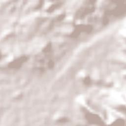 Alcholoa Terrain Map