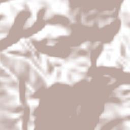 San Andrés Chicahuaxtla Terrain Map