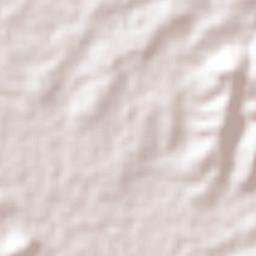 Guadalupe Hidalgo Terrain Map