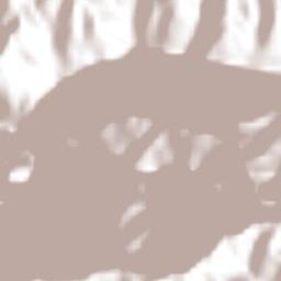 San Juan Metaltepec Terrain Map