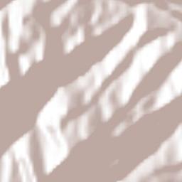 San Andrés Duraznal Terrain Map