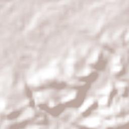 San Ignacio Terrain Map