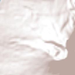 Cotton Ground Terrain Map