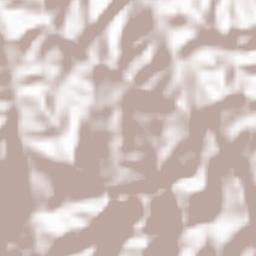 Al `Ulayin Terrain Map