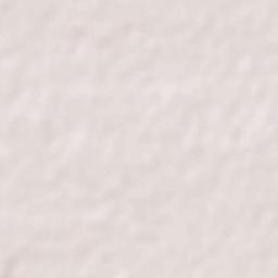 Muñoz East Terrain Map