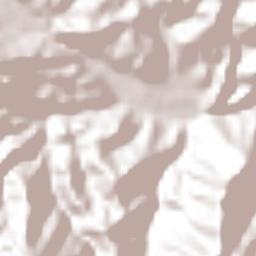 Jicayán de Tovar Terrain Map