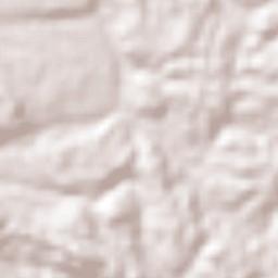 Cuauhtémoc Terrain Map