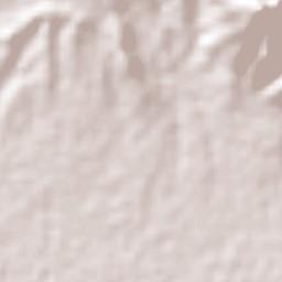 San Francisco Tutla Terrain Map