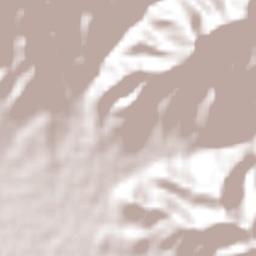 Santo Domingo Tomaltepec Terrain Map