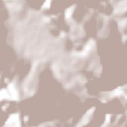 Copainalá Terrain Map