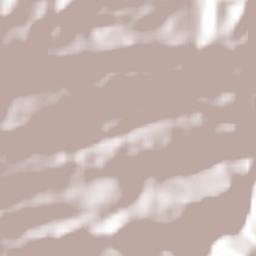 Carmen Zacatal Terrain Map