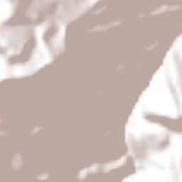 El Bosque Terrain Map