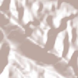 Constitución Terrain Map