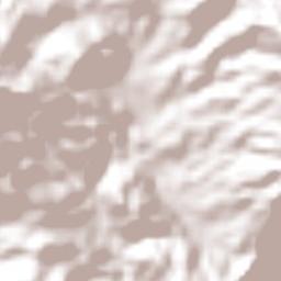 Pascala del Oro Terrain Map