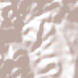 San Miguel el Grande Villa Juárez Terrain Map