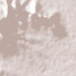 Santa Cruz Xoxocotlán Terrain Map