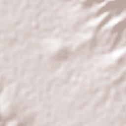 Santa María del Tule Terrain Map