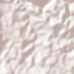 Bachajón Terrain Map