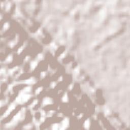 Nuevo Francisco León Terrain Map