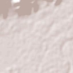 El Espinalillo Terrain Map