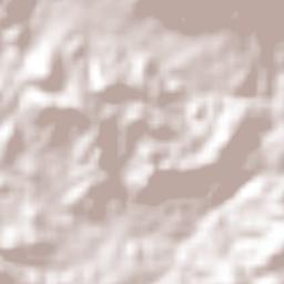 Ejido Nuevo Terrain Map