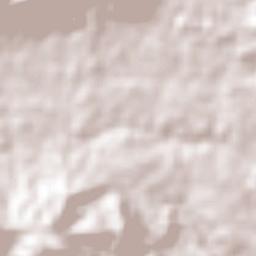 Buenavista de Allende Terrain Map