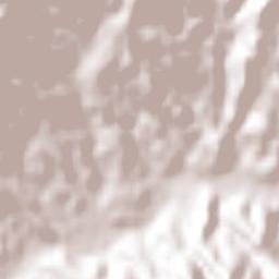 Tlaxcalixtlahuaca Terrain Map