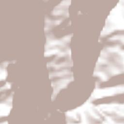 Santiago Nuyoó Terrain Map