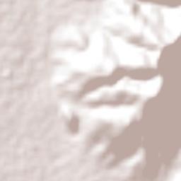 Animas Trujano Terrain Map