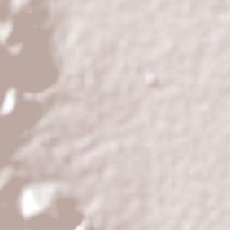 Rojas de Cuauhtémoc Terrain Map