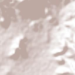 Villa Díaz Ordaz Terrain Map