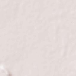 Ban Dan Lan Hoi Terrain Map