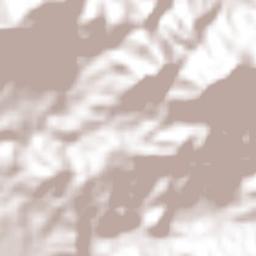 Ocotlán Terrain Map