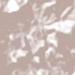 El Potrerillo (Potrerillo del Rincón) Terrain Map