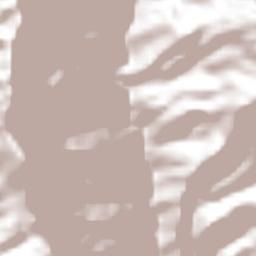 San Sebastián Nopalera Terrain Map