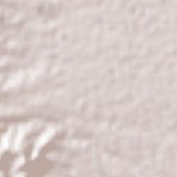 Fraccionamiento Real del Valle Terrain Map