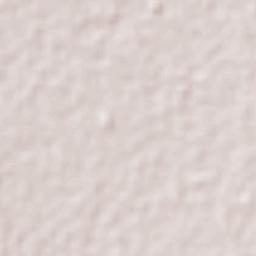 Villa de Zaachila Terrain Map