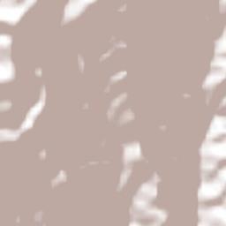 Santo Domingo Tepuxtepec Terrain Map