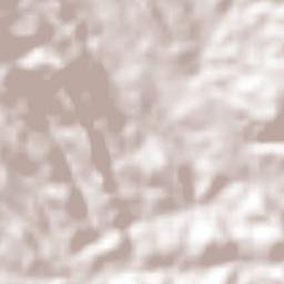 Mesones Hidalgo Terrain Map