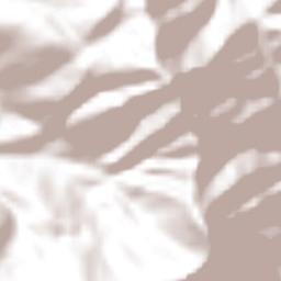 San Antonio Huitepec Terrain Map